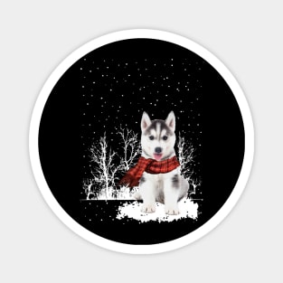 Christmas Husky With Scarf In Winter Forest Magnet